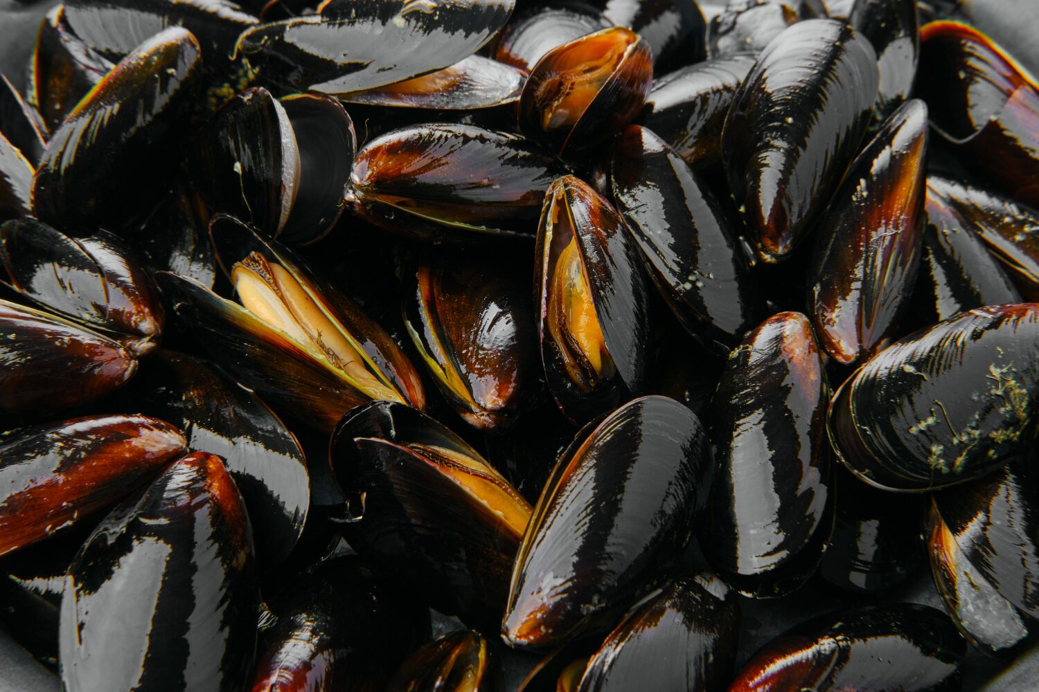 Cozze nere a guscio chiuso, ammassate