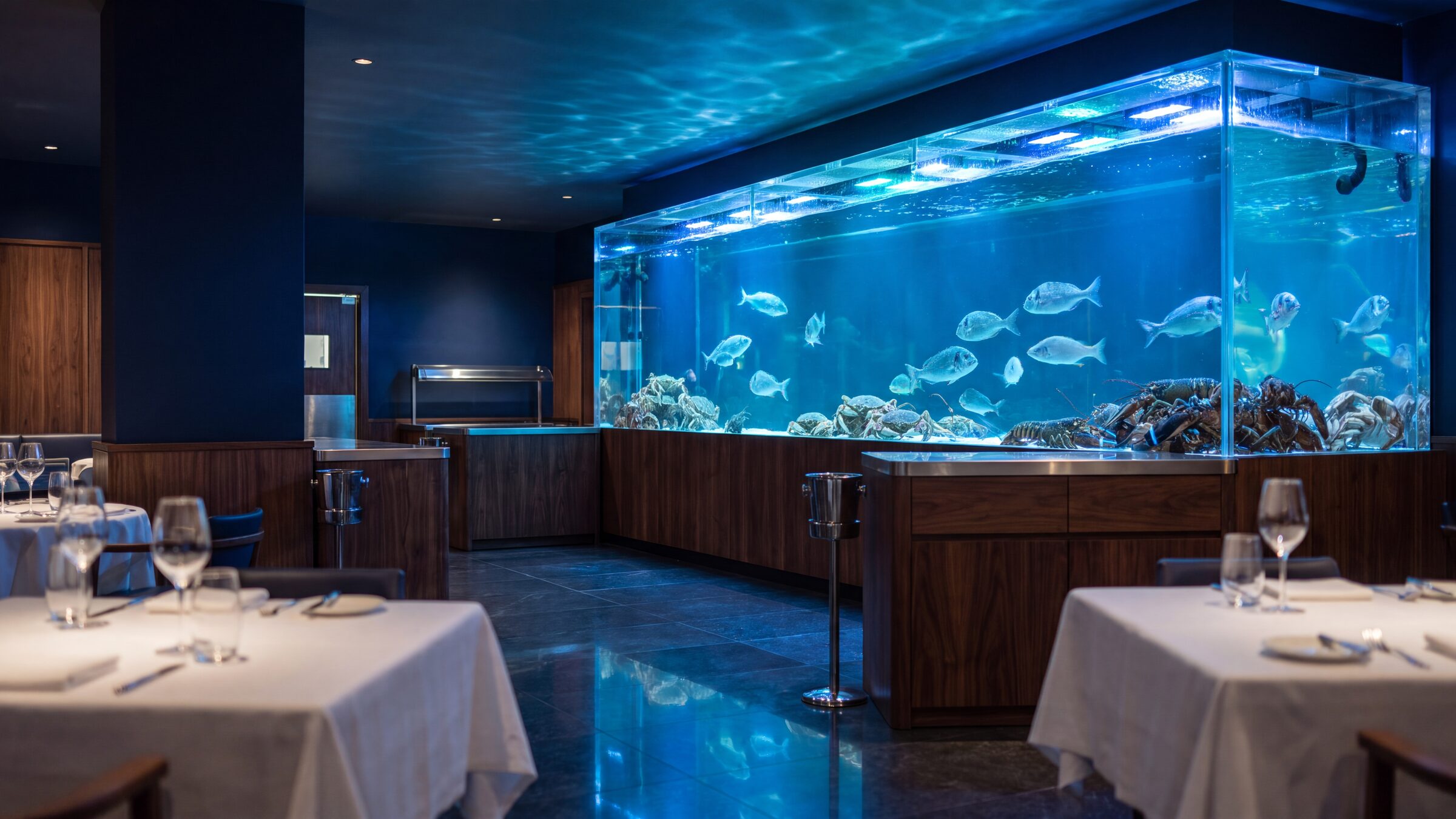 Sala di un ristorante di pesce con una grande parete-acquario illuminata di blu, con pesci e aragoste
